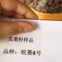 安徽天柱山瓜篓子