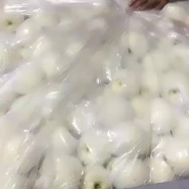 高山黄元帅，高山白果，精品红富士