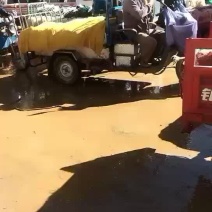 蒜苗