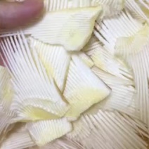 鱼翅骨中号足干补钙大王