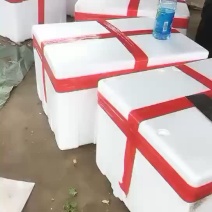 蒜苗