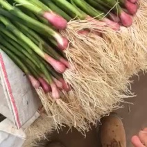 蒜苗