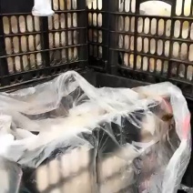 水果皇冠梨