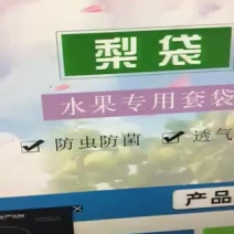 果袋水果套袋苹果袋梨袋桃袋葡萄套袋