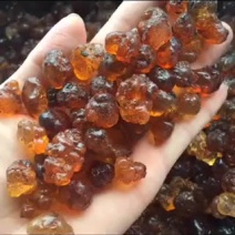 批发桃胶