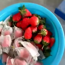草莓草莓袋草莓套袋