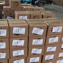 山东贝贝南瓜，全年365天持续供应，支持所有渠道！