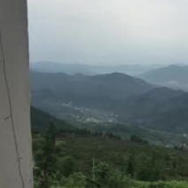 宅基地-农房出租