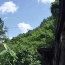 宅基地-农房出租
