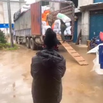 优质水稻5814