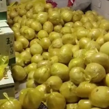 果爸果妈玉环文旦大棚二十万斤上市