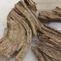 香港，沉香，树心油