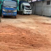 水稻
