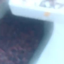龙虾