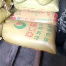 稻谷