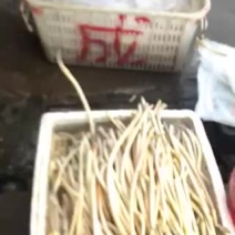 深湖种稙清水藕带藕尖
