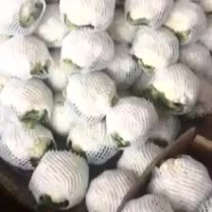 本地菜花有机花大量上市了价格便宜