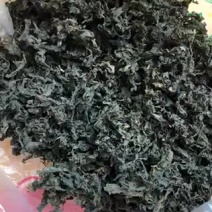 地皮菜，产地大量发货，对接全国各地客户，欢迎咨询