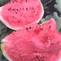 锦王西瓜