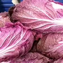 优质紫白菜新货供应