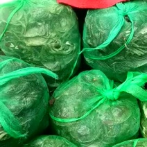 六月黄大闸蟹