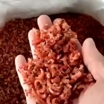 金钩海米新米