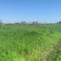 五大连池市草原出租1000亩市区南2公里