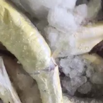 香港鳗鱼饺
