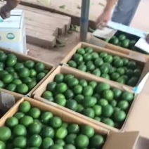 万州青柠檬