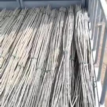 107杨树苗速生杨1.5公分的2公分2.5公分