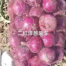 洋葱二红洋葱，大量有货，欢迎电话联系沟通诚信经营质量保证