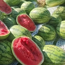 金城5号西瓜黑龙江西瓜产地一手货源，规格齐全，视频看货