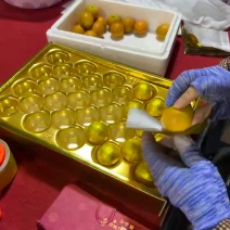 广西金桔产地直发万亩种植基地对接电商一件代发等（金装）