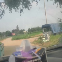 装四个车，头茬二茬都有货