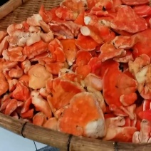 杉木菌（鸡冠菌）野生，大小混装，新鲜湿品