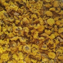 怀菊花(黄菊)整箱包装，烘干初加工，水分低杂质少