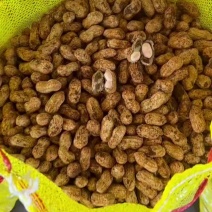 花生两粒白