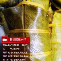粽子新鲜现包，220克/个，多种口味可选（鲜肉粽、独立包