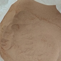 虫沙黄粉虫虫沙