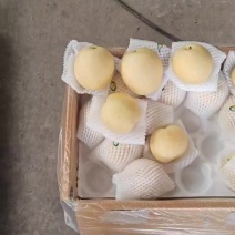 皇冠梨半斤以上