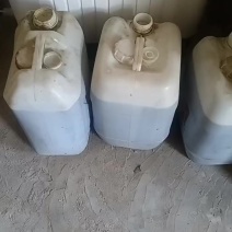 菜籽油散装桶装/瓶装均可，按需分装