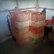 一筐净重31斤