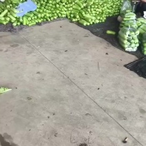 毛豆一斤左右一袋