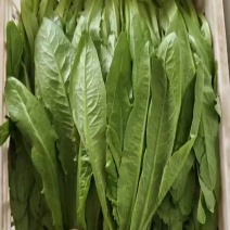油麦菜地头价，自己带筐