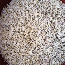 豆芽按斤装袋