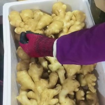 生姜