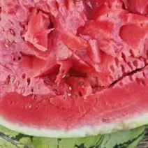 西瓜绿皮西瓜金花西瓜