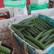 黄瓜