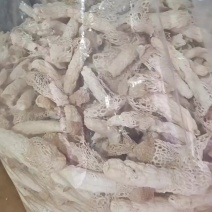 竹荪8到12厘米