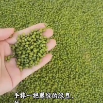 明绿豆小克粒精品